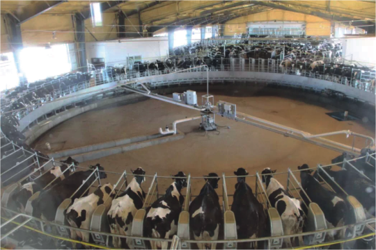 ABUIABAEGAAg44-gwQUouP68kwEwnAQ46AI